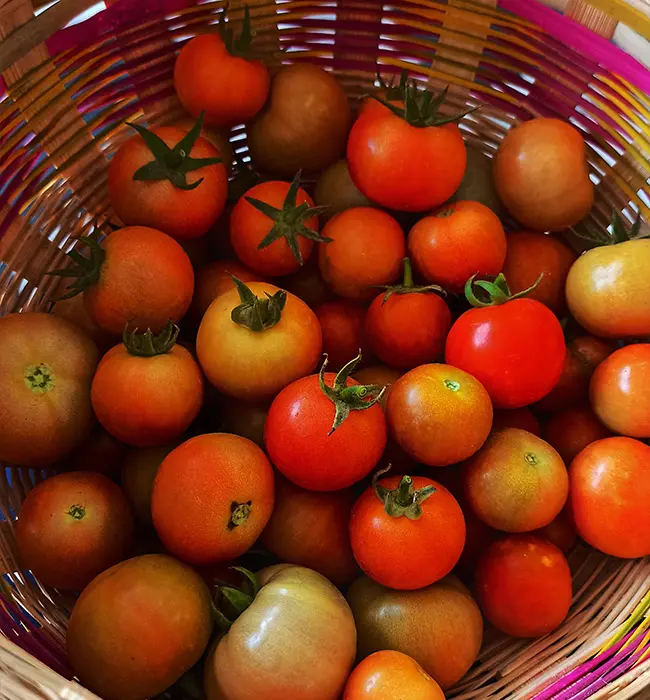 Village Heritage Walk